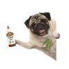 CBD ET ANIMAUX