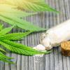 Cosmétiques CBD