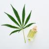 ANONYMSEEDS