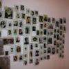 photographies de marins morts pour la France