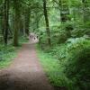 La forêt d'Huelgoat