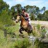  toutes disciplines: cross, dressage, CSO mais aussi ethologie, equifun, jeux