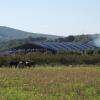 CENTRE EQUESTRE LOIRE GIVORS EN PLEINE VERDURE