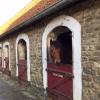 Les écuries Le Mont de la Louve 
Pension pour chevaux 