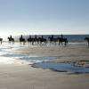 Les balades à cheval sur la plage 