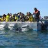 Classe de mer en Bretagne