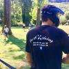 Archery touch
