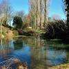 Jardin, printemps 2014