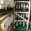 Le séchoir pour les saucissons et saucisses fabriqués par Raphaël Trouillas, artisan charcutier à St Genest de Beauzon (07230)