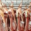 Du cochon français avec traçabilité pour la fabrication de charcuterie et de plats traiteur à Thouars (79), CHarcuterie Mureau