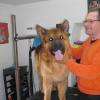 denver, berger allemand très cool !