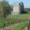 La vigne et le château de Brissac - Avril 2015