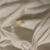 Draps