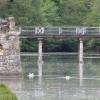 les canards autour du chateau