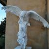 Le vautour, la mère et le bébé