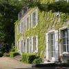 terrasse et rhododendrons