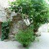 le jardin 1