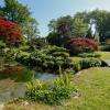 Le Jardin japonais par Philippe Bajcik