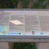 compostelle