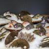 Poissons de Bretagne, Vendée et Normandie, Poissonnerie Chemin des Pêcheurs, Voisins le Bretonneux (78)