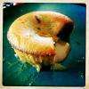Coeur coulant