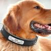 Des colliers pour tous types de chiens et de chats, des laisses et des harnais à petits prix, de nombreuses affaires à réaliser jusqu'à la fin des stocks !