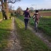 lors d'une séance d'éducation en extérieur avec un berger hollandais âgé de 2 ans.