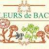 Les 38 Fleurs de Bach pour la fabrication des élixirs floraux par le docteur Edward Bach