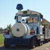 le  petit train
