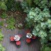 Vue plongeante sur la terrasse