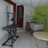 L'espace Toilettage