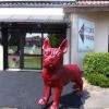 Doggy la mascotte
