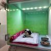 Cage d'hospitalisation du chenil de la Clinique vétérinaire Chat-Perché.Vet de Pierrelaye (95480)