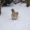 poulette au ski:-)