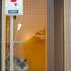En hospitalisation