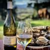 Notre vin blanc sec, 100% muscat d'Alexandrie, se marie à la perfection avec les huîtres, entre autres! Vin bio IGP Côtes catalanes