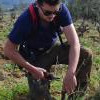 La saison de la taille court de décembre à mars chez nous! La taille de la vigne est essentielle pour assurer le bon développement des grappes et une bonne vendange!
