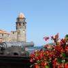 Le port de Collioure (3)