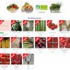 Le site web