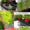 Terrasse et jardin design et contemporains