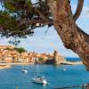 conciergerie collioure 66190 pyrenees orientales