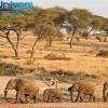 voyage en Afrique du sud Capunivers