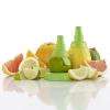 Lot de 2 zests citron Léku2