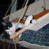 Minou dans son hamac