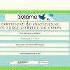 Certification Massage Tuina