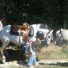 Balades, randos et bivouacs pour les jeunes et les grands