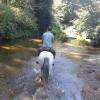 Les cours d'eau
