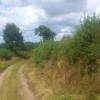 Les collines de l'Allier avec le Country Pony Ranch