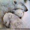 Famille ours