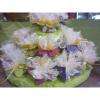 Crédit photo : site internet Cruzel Et Fils